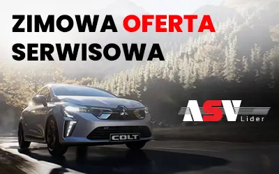 Zimowa oferta serwisowa 2024